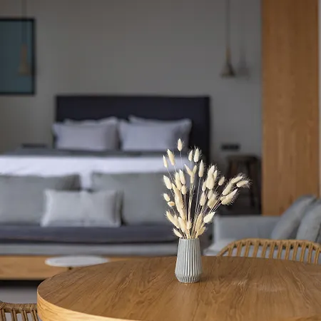 Hotel Anadeo Villas&suites Exanthia